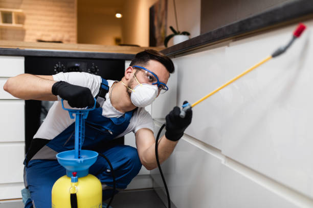 Best Exterminator Services  in Mendota Heights, MN