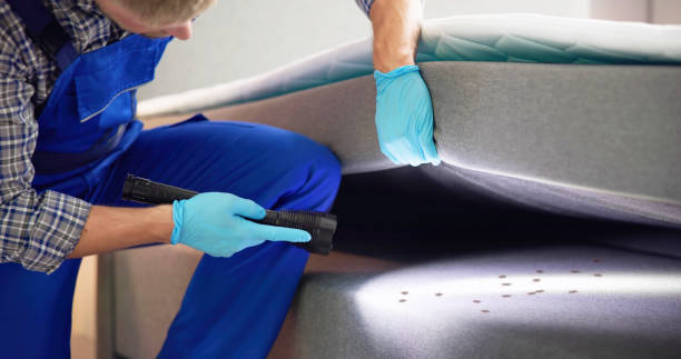 Reliable Mendota Heights, MN Pest Control Solutions